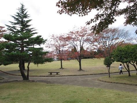 郡山 ハッテン|郡山西部公園 / 東北 / 福島 / 野外ハッテンスポット。